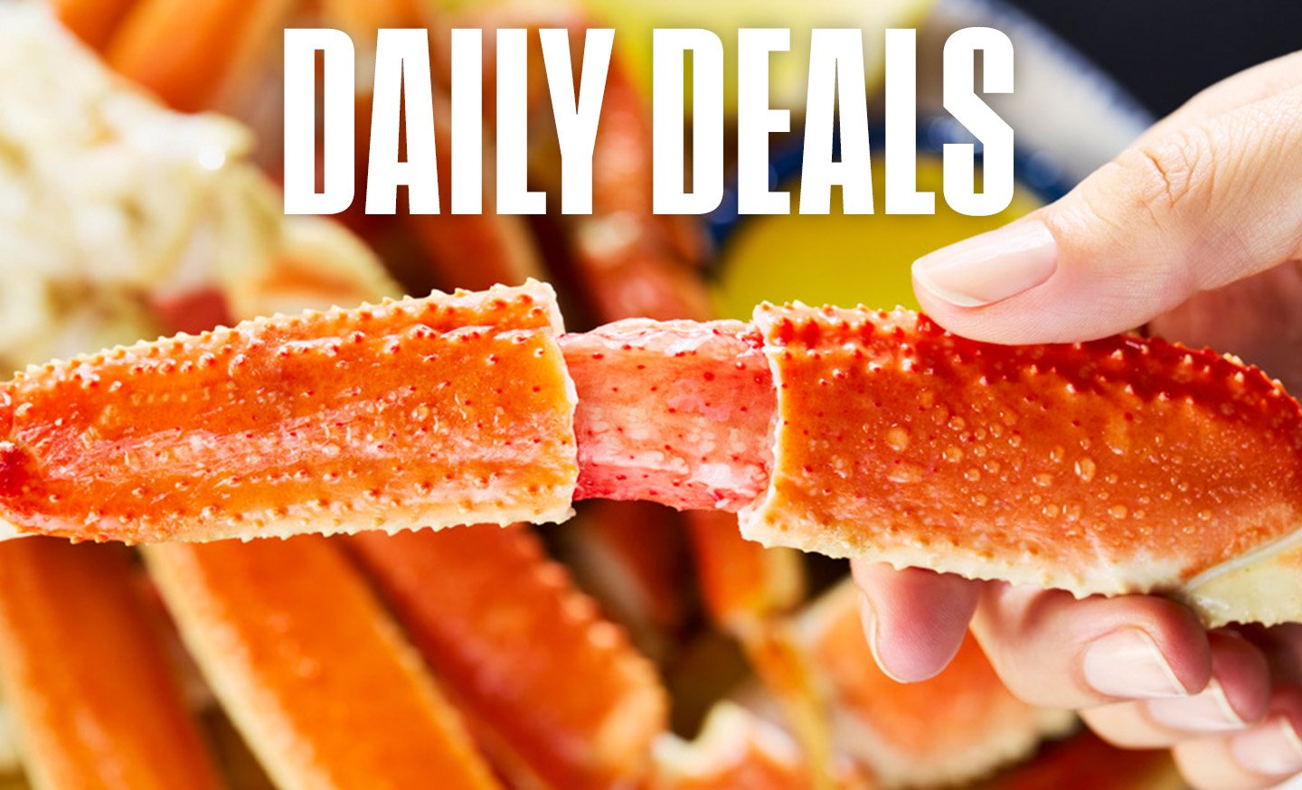 Daily Deals