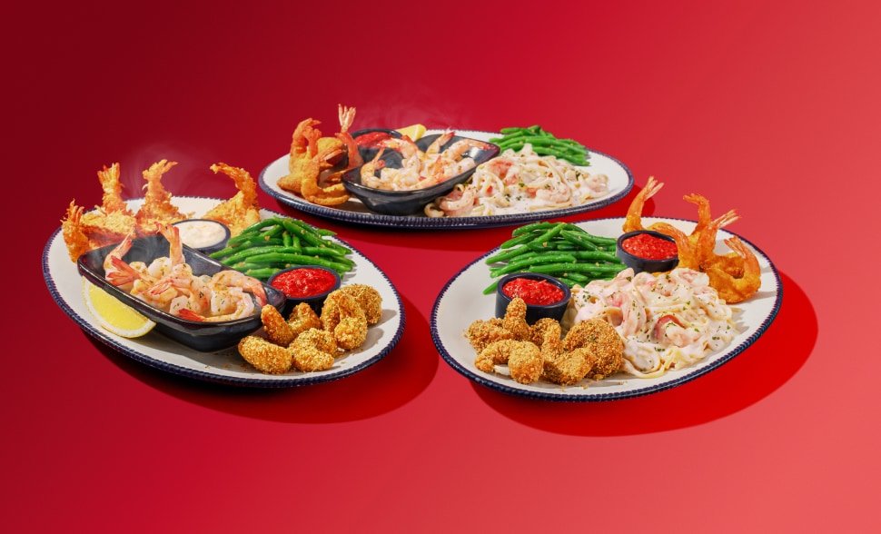 EndlessShrimp CA Press Release