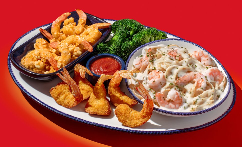 Endless Shrimp US Press _Release