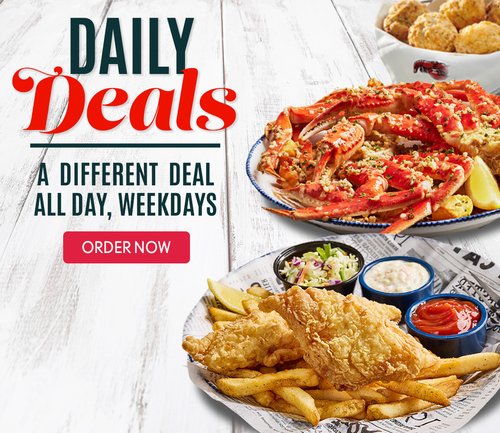 Daily Deals